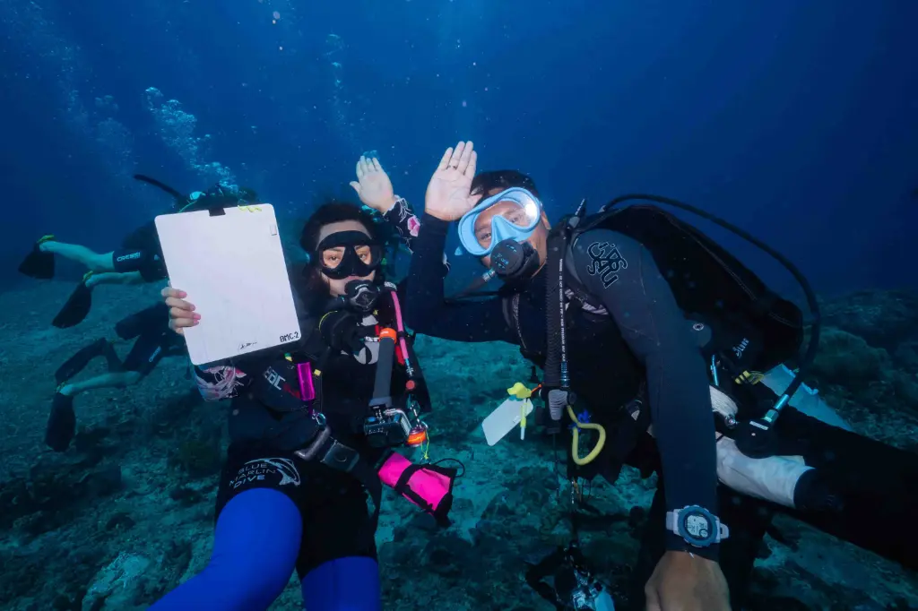 Shark Ecology and Population Studies