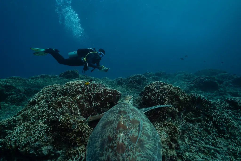 Marine Research Assistant