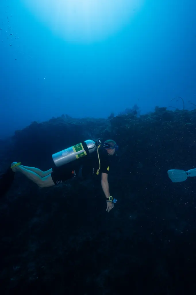 Advanced Open Water Course + Nitrox Combo