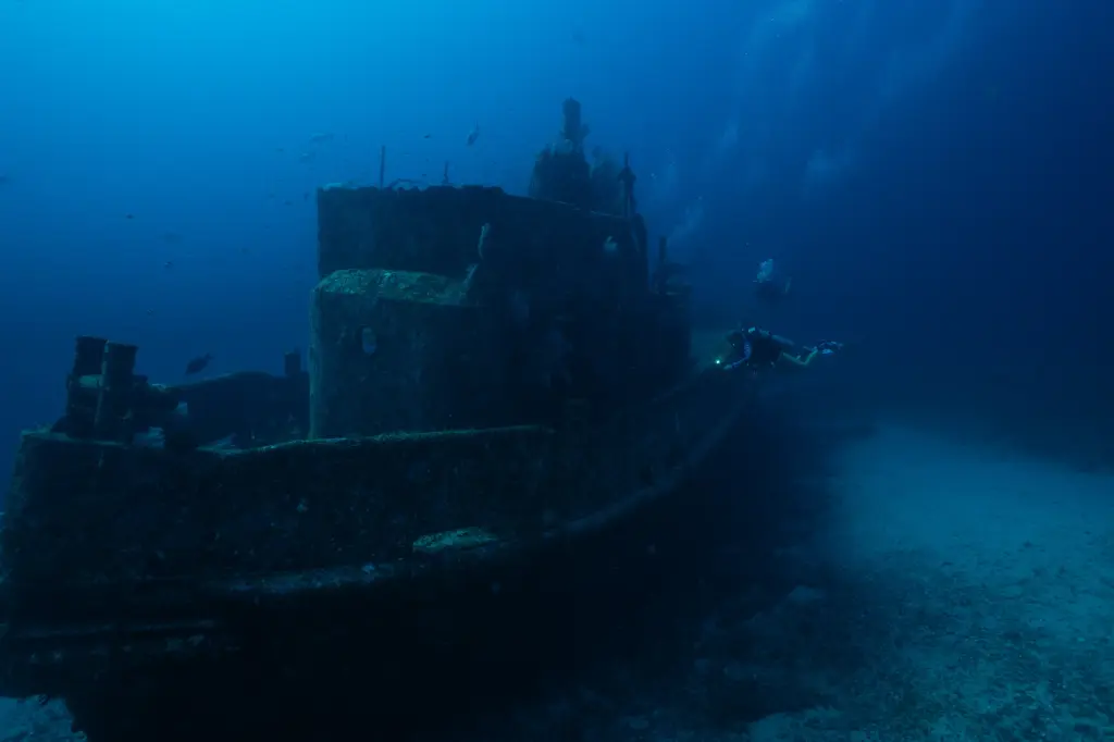 Advanced Open Water Course