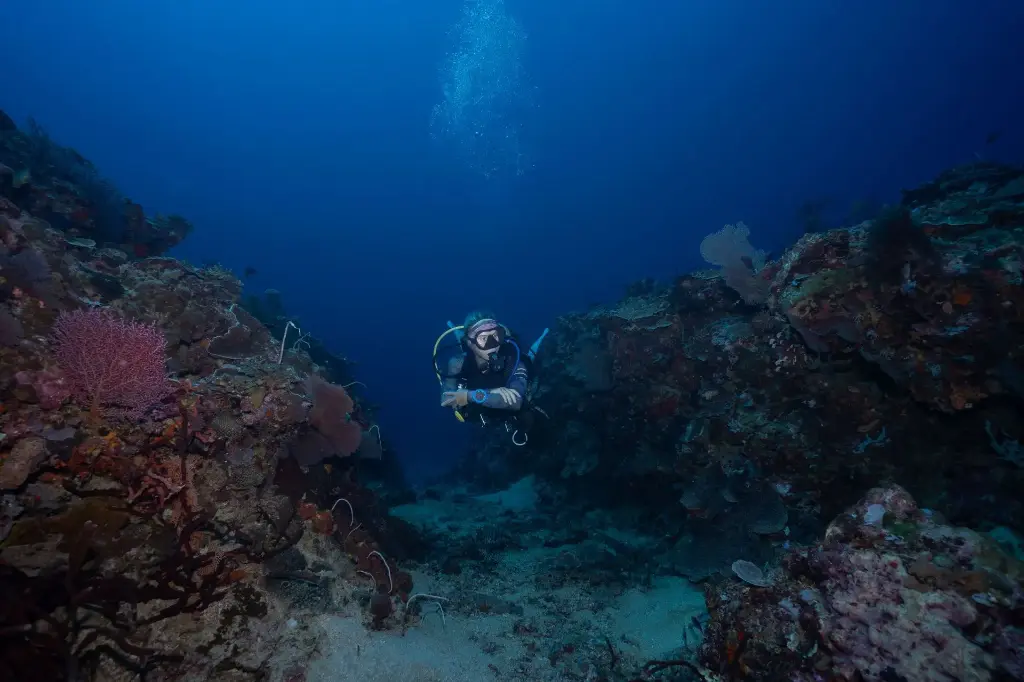 Nitrox Diver Specialty (EANx) 2 Dives