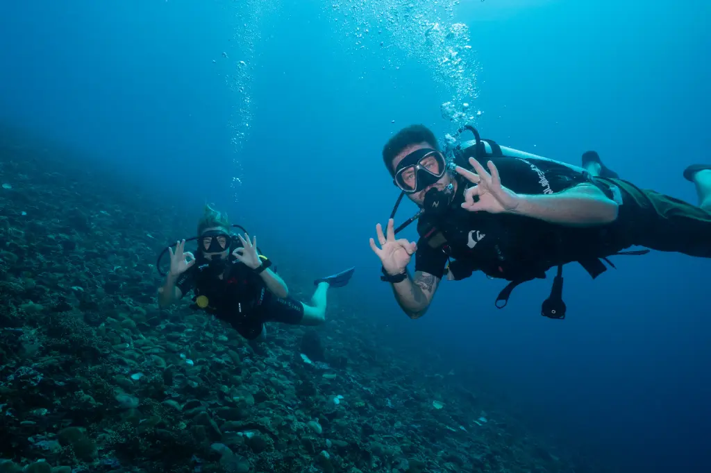 Adventure Dive
