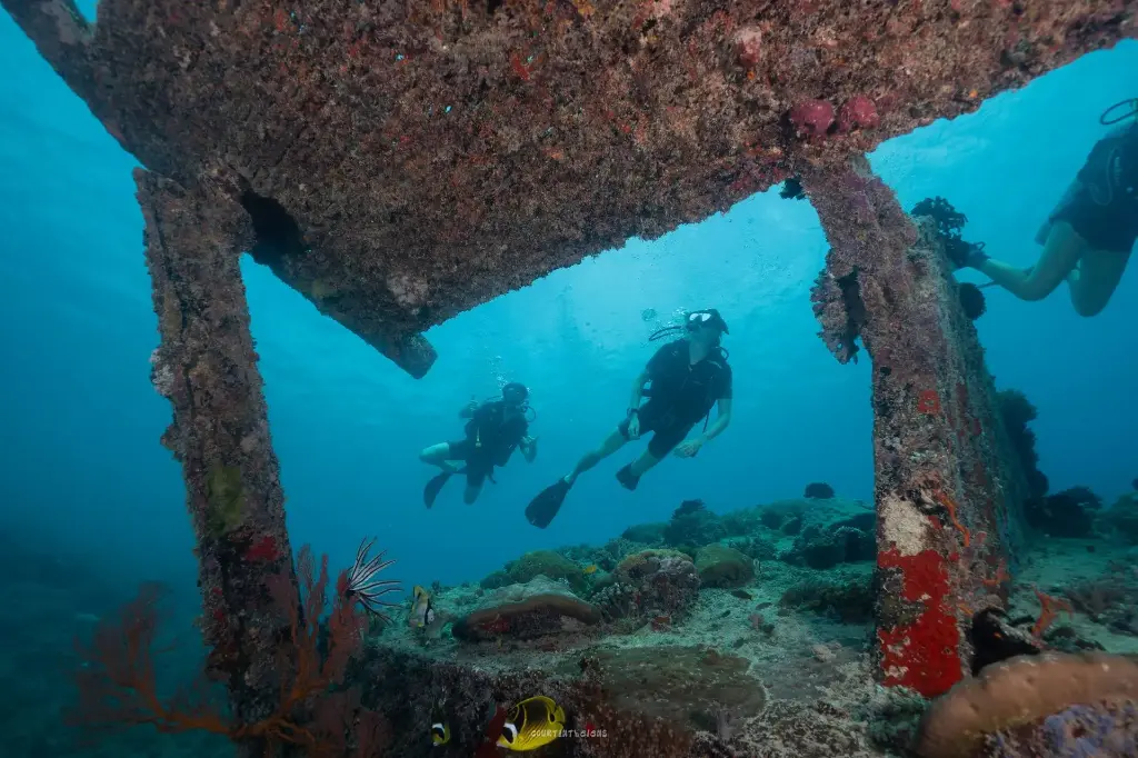Fun Dive