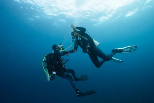 [OWC] Open Water Course