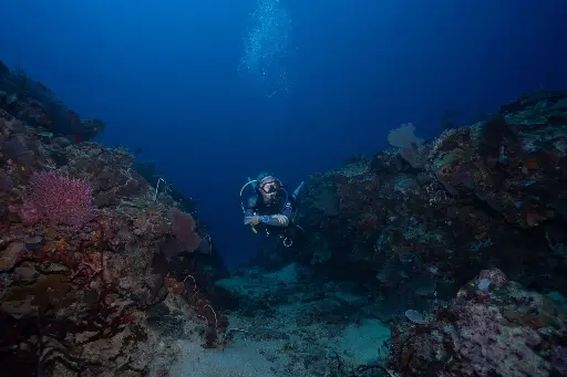 [EANX-D] Nitrox Diver Specialty (EANx) 2 Dives