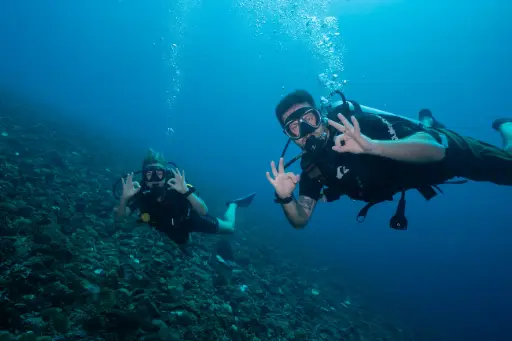 [ADV] Adventure Dive