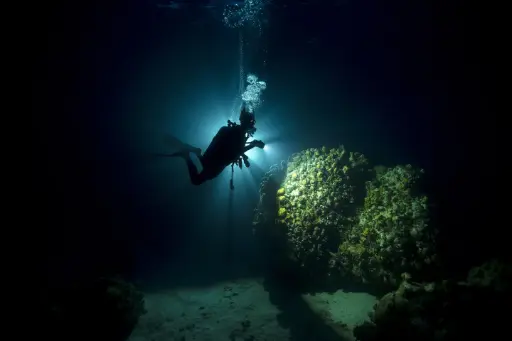 [FDN] Fun Dive (Night)