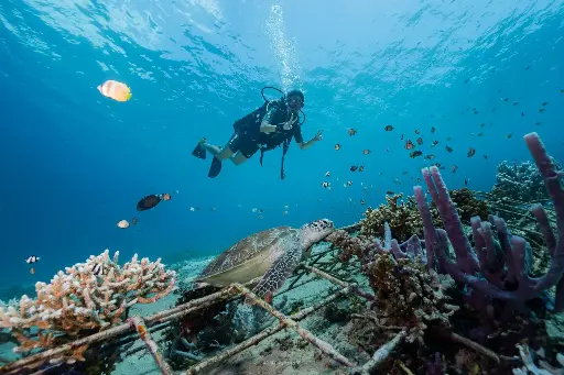 [DSD] Discover Scuba Diving