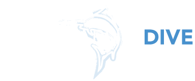 Blue Marlin Dive Gili Air