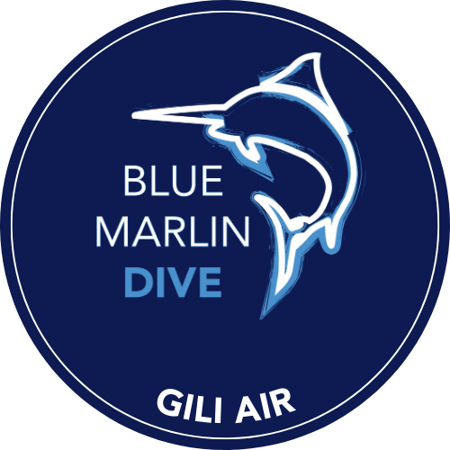 Blue Marlin Dive Gili Air